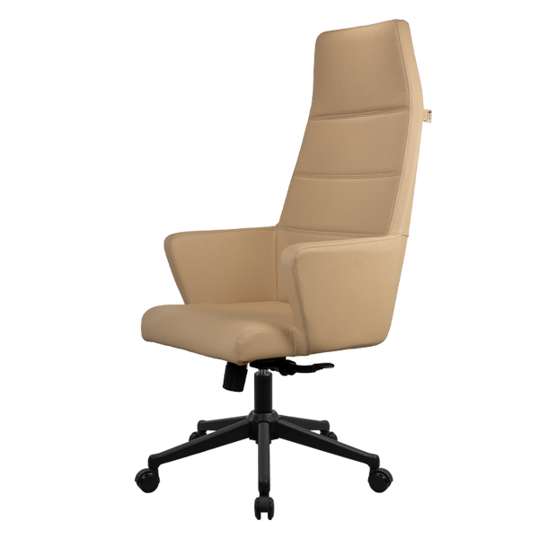 صندلی مدیریتی راحتیران مدل T 5110 فوم دار - تصویر 5