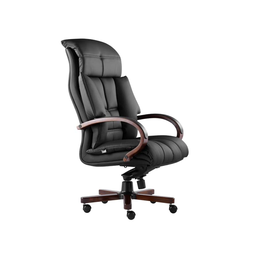 صندلی مدیریتی راشن مدل M900 - تصویر 4