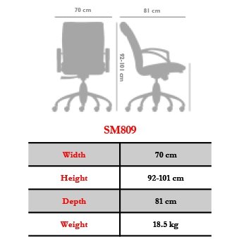 صندلی مدیریتی نیلپر مدل OCM809E - تصویر 3