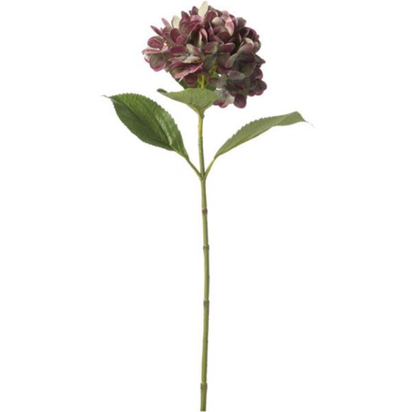 شاخه گل مصنوعی دوان مدل HYDRANGEA رنگ بنفش اندازه h68cm 668288