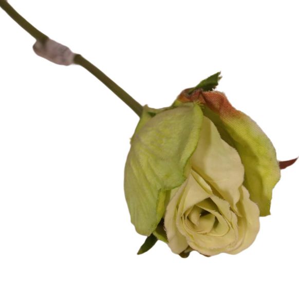 شاخه گل مصنوعی دوان مدل ROSE bud رنگ سبز اندازه h25cm 17293 - تصویر 2