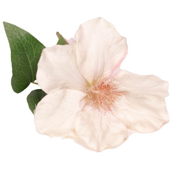 شاخه گل مصنوعی دوان مدل CLEMATIS - تصویر 2