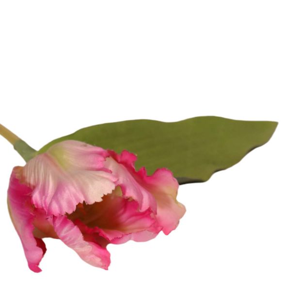شاخه گل مصنوعی دوان مدل TULIP رنگ بنفش/سفید اندازه h72cm 17005 - تصویر 2