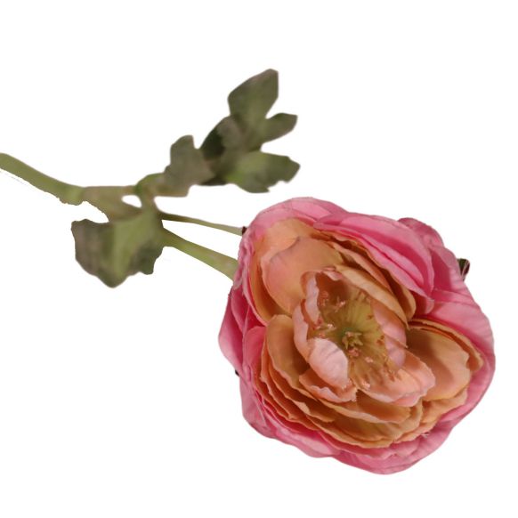 شاخه گل مصنوعی دوان مدل RANUNCEL رنگ صورتی اندازه h36cm کد 534720 - تصویر 2