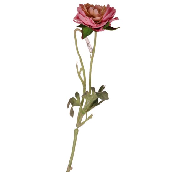 شاخه گل مصنوعی دوان مدل RANUNCEL رنگ صورتی اندازه h36cm کد 534720