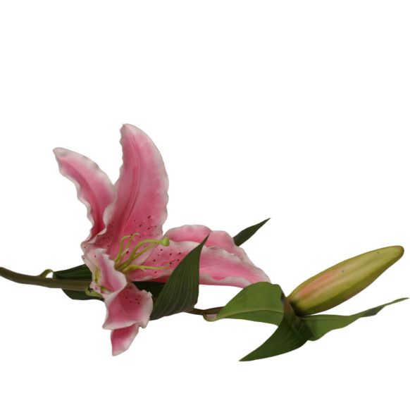 شاخه گل مصنوعی دوان مدل LILLY رنگ صورتی اندازه h85cm کد 596973 - تصویر 2