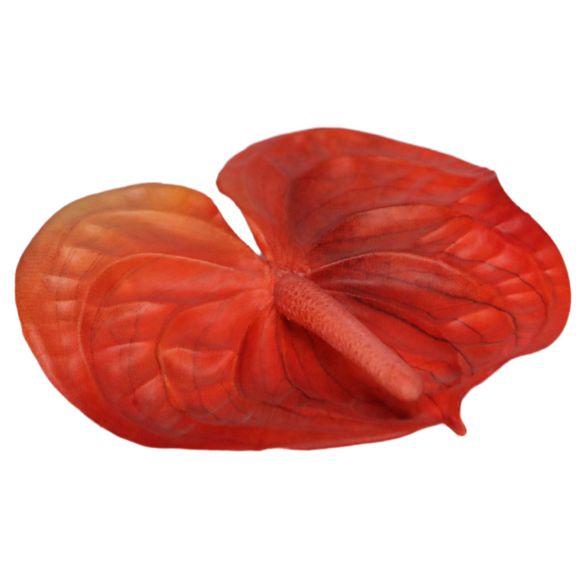 شاخه گل مصنوعی دوان مدل ANTHURIUM رنگ قرمز اندازه h65cm کد 530716 - تصویر 2