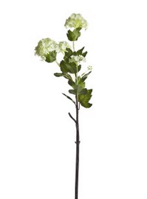 شاخه گل مصنوعی دوان مدل OLVON VIBURNUM رنگ سبز اندازه h55cm کد 567126