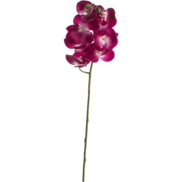 شاخه گل دوان مدل PHALAENOPSIS رنگ بنفش اندازه h98cm 639595