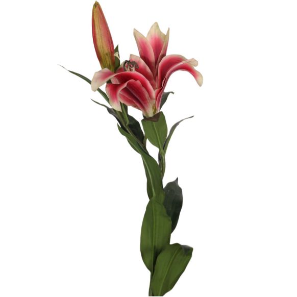 شاخه گل مصنوعی دوان مدل LILLY رنگ صورتی اندازه h87cm کد 504825