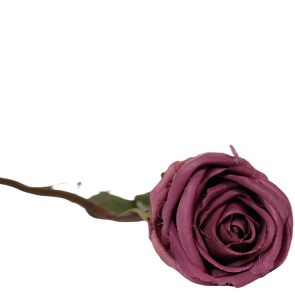شاخه گل مصنوعی دوان مدل ROSE رنگ بنفش اندازه h74cm 615858 - تصویر 2