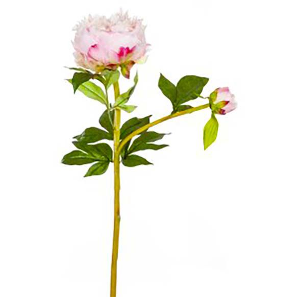 شاخه گل مصنوعی دوان مدل PEONY رنگ صورتی روشن اندازه h52cm 613317