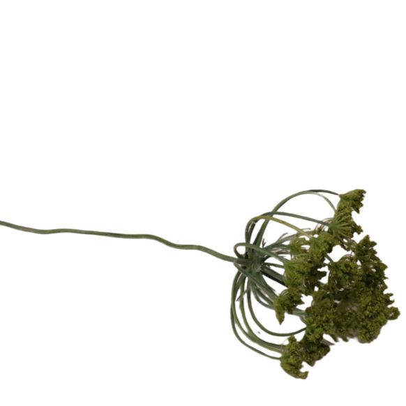 شاخه گل مصنوعی دوان مدل QUEEN ANN LACE رنگ سبز اندازه H101CM کد 612582 - تصویر 2