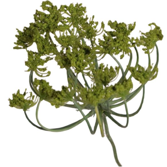 شاخه گل مصنوعی دوان مدل QUEEN ANN LACE رنگ سبز اندازه H101CM کد 612582 - تصویر 3