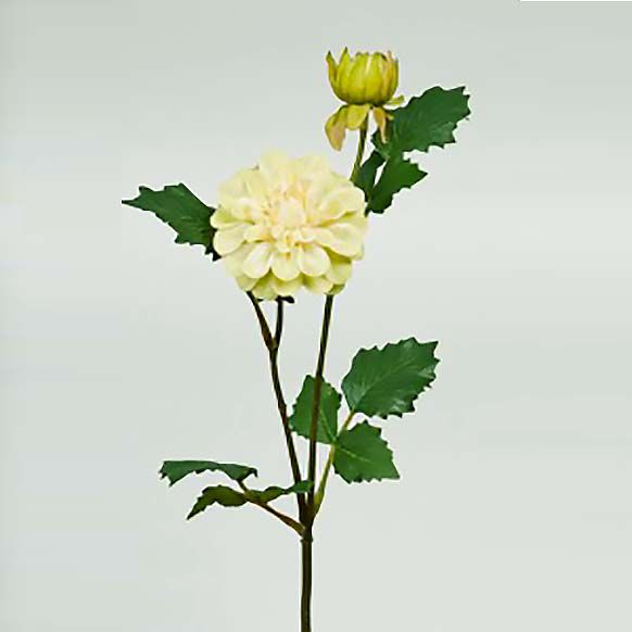 شاخه گل مصنوعی دوان مدل DHALIA رنگ سبز اندازه h42cm 17722