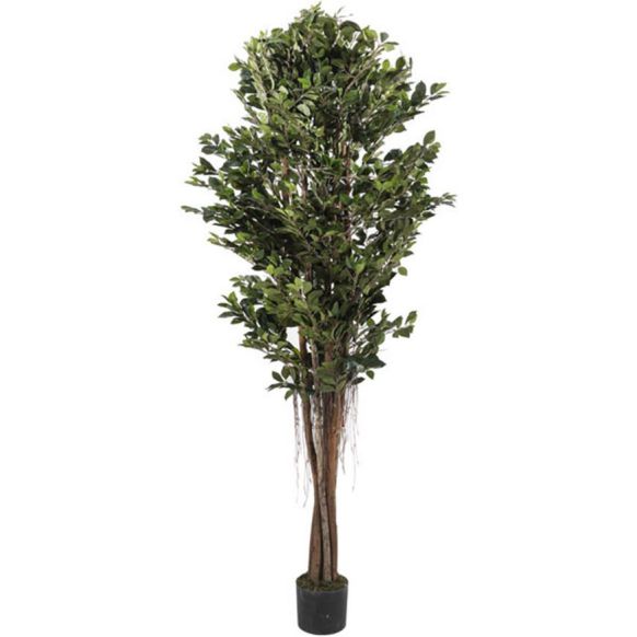 درختچه مصنوعی دوان مدل FICUS RETUSA