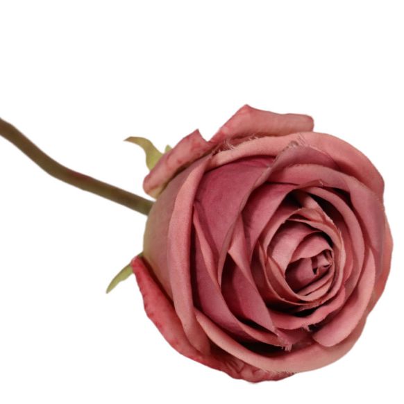 شاخه گل مصنوعی دوان مدل ROSE رنگ صورتی/کرم اندازه h75cm کد 555268 - تصویر 2