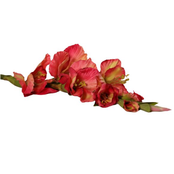 شاخه گل دوان مدل GLADIOLUS رنگ صورتی/سفید اندازه h86cm 636991