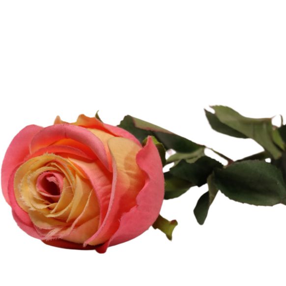 شاخه گل دوان مدل ROSE رنگ صورتی/سفید اندازه h60cm 637040 - تصویر 2