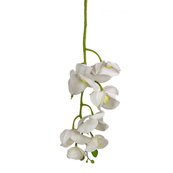 شاخه گل دوان مدل PHALAENOPSIS رنگ سفید اندازه h98cm 639574 - تصویر 2