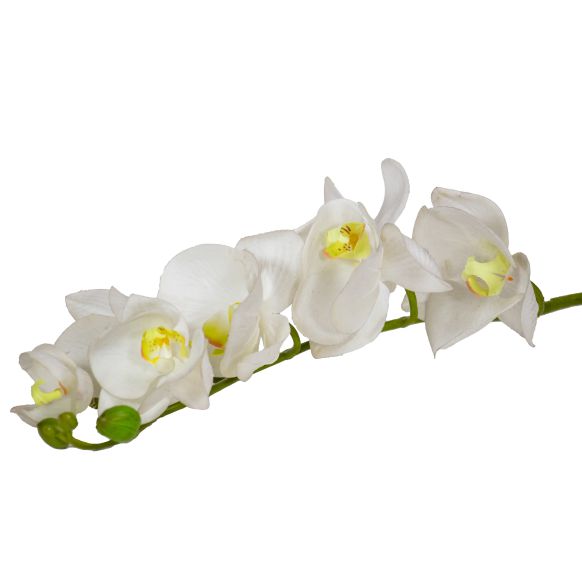 شاخه گل دوان مدل PHALAENOPSIS رنگ سفید اندازه h98cm 639574