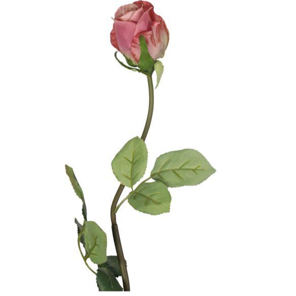 شاخه گل مصنوعی دوان مدل ROSE رنگ صورتی اندازه h50cm کد 535000